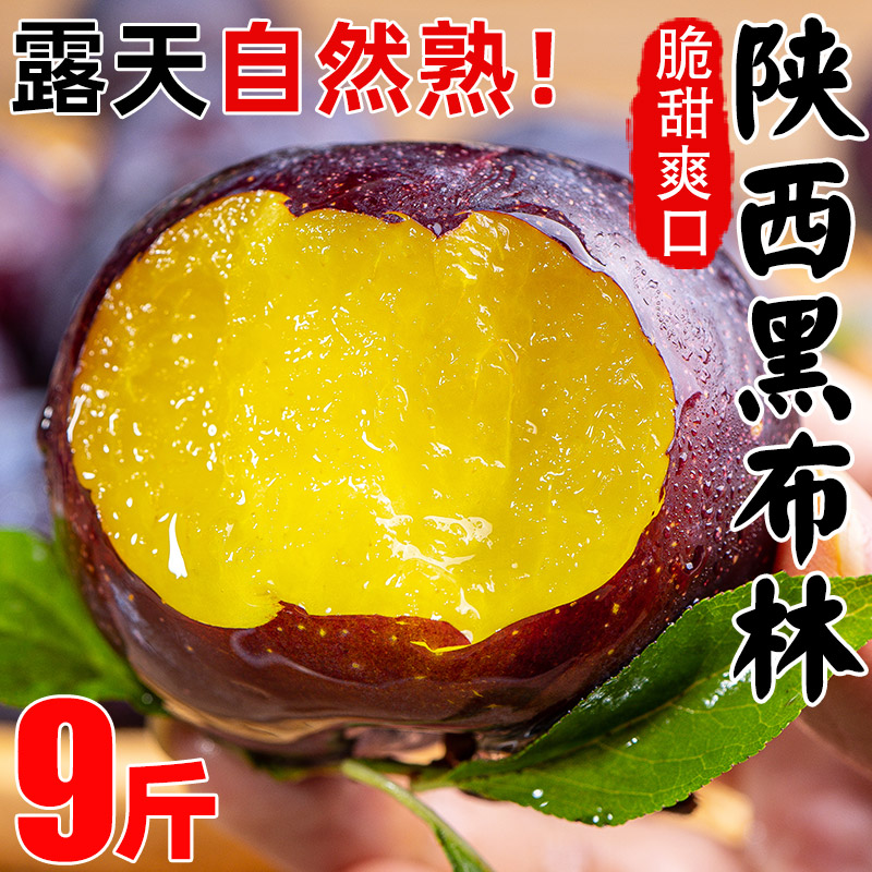 ժڲ10ʴѹиˮӦ
