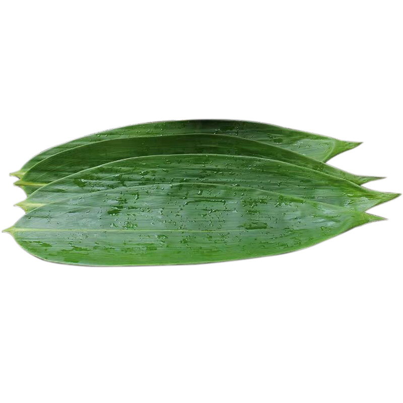 Ҷ100ֲҰҶҶũׯҶ