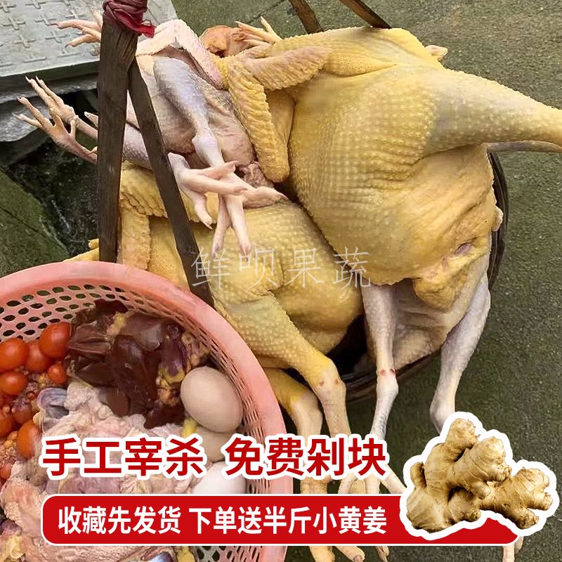 ũɢ3ĸݼɱ3䶳˳