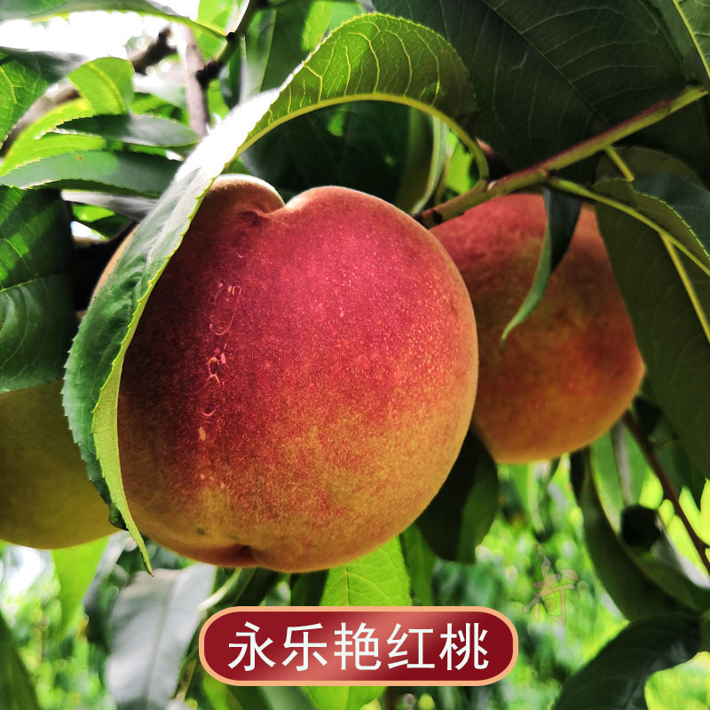޺10زƻҳũׯֱˮ