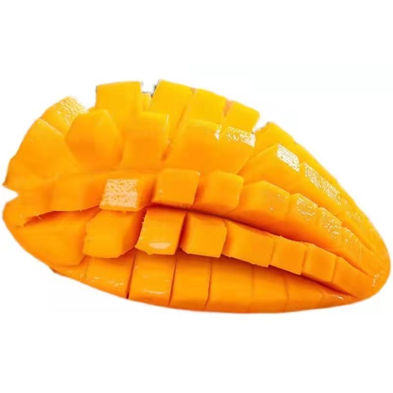 Ĵ֦ââӦˮƤŰ