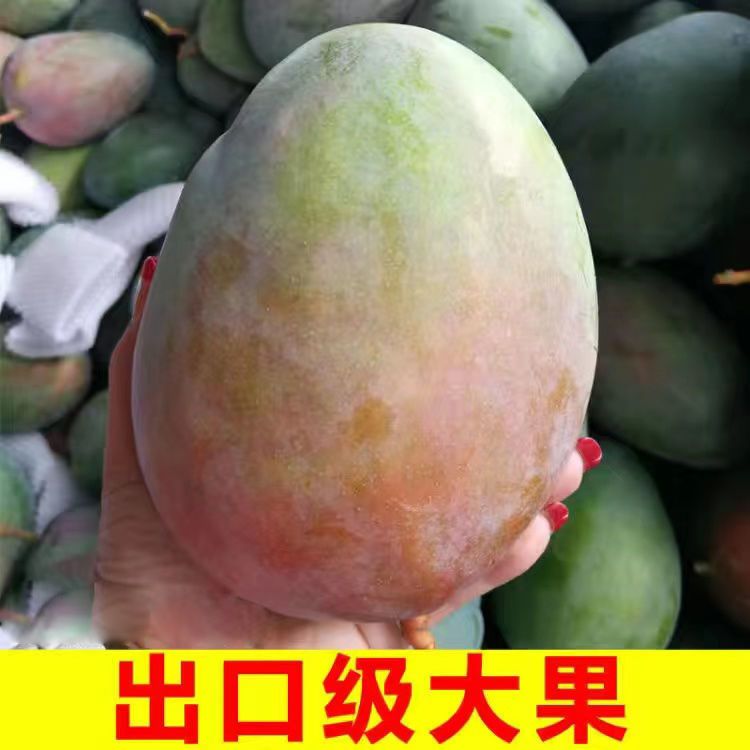 Ĵ֦ââӦˮƤŰ
