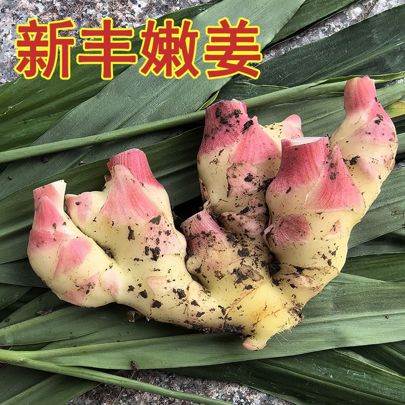 Сƽ۽۽ѿںѿнزСƽ