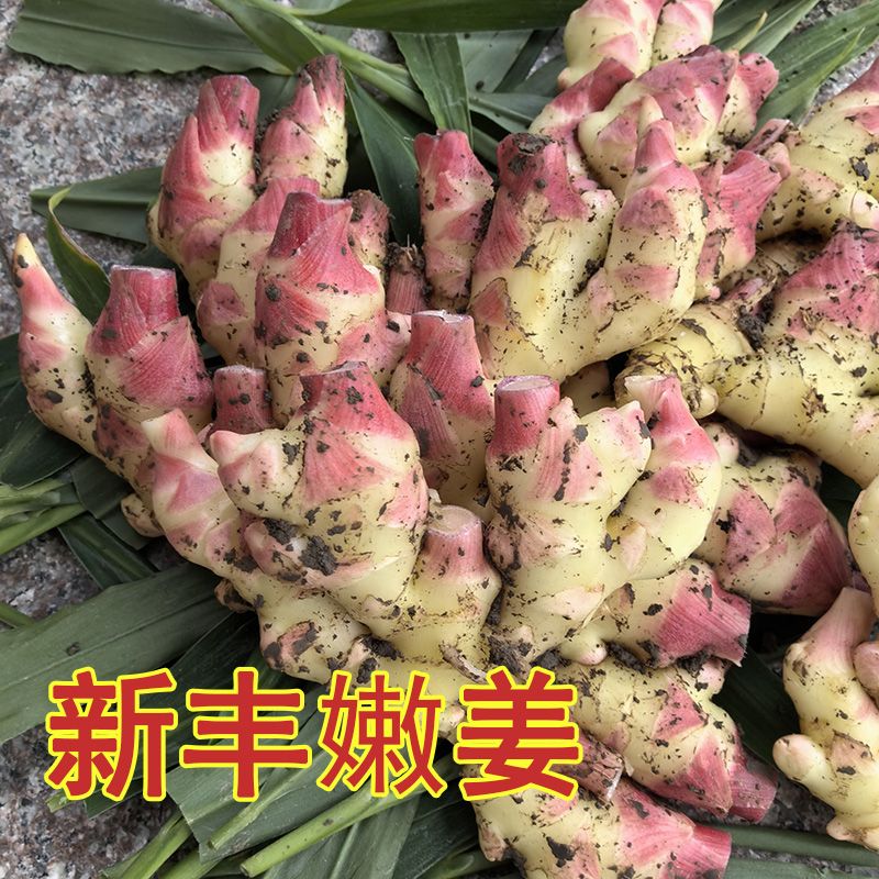 Сƽ۽۽ѿںѿнزСƽ