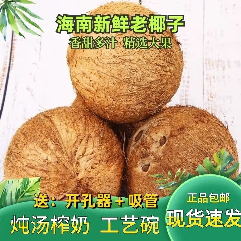 ҬСҬҬиˮҬëҬȥëҬ