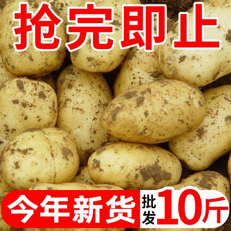 ƴ100+Ƥ10߲1/5