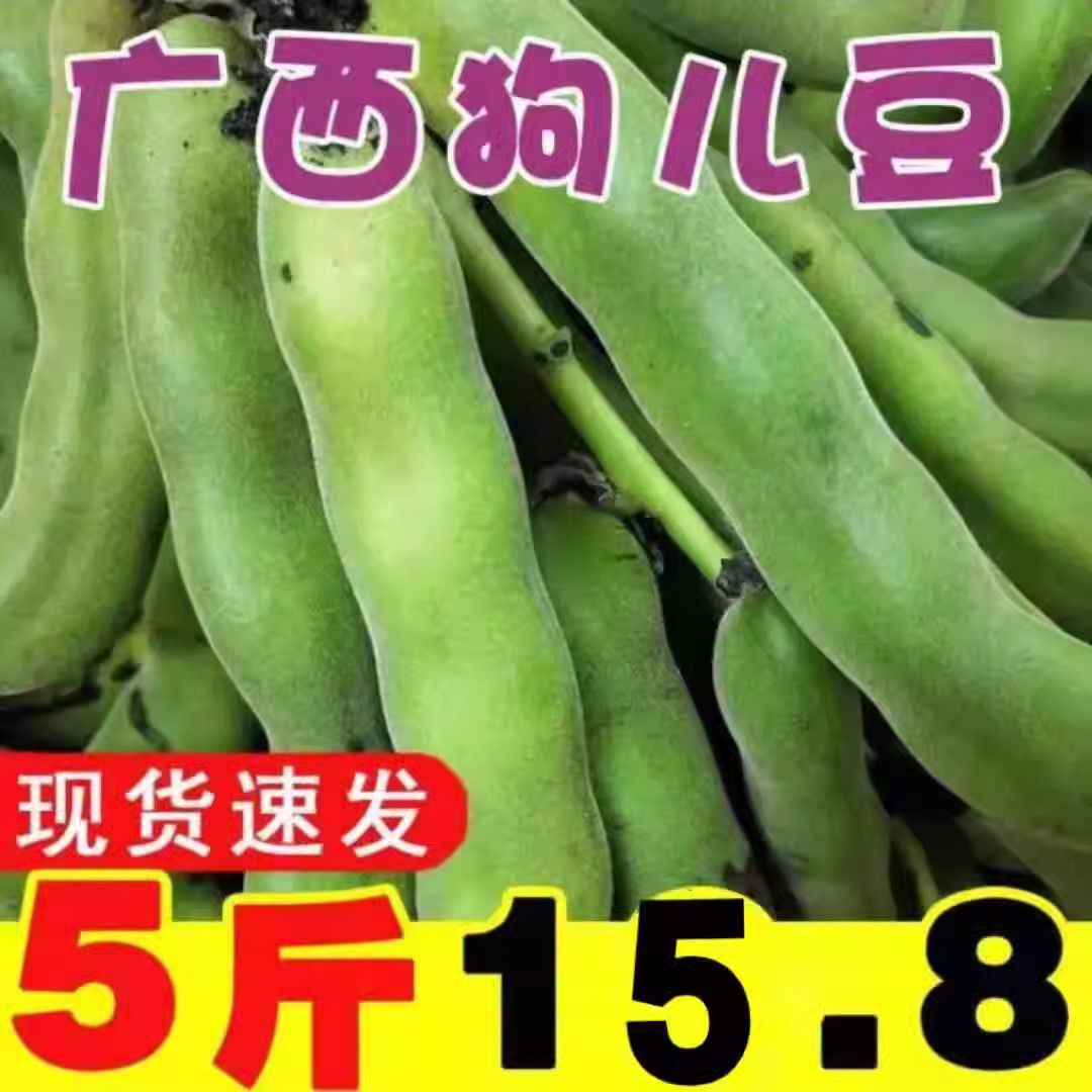ũ˹צزժжèèצ1-10