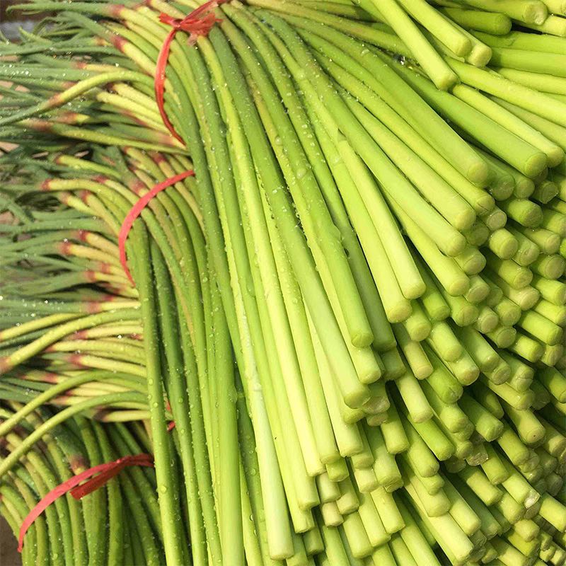 ũ̦531ũ޷
