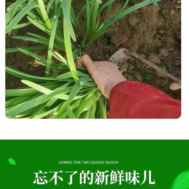 ʾ²ַָ޹ũл²ۿɿ