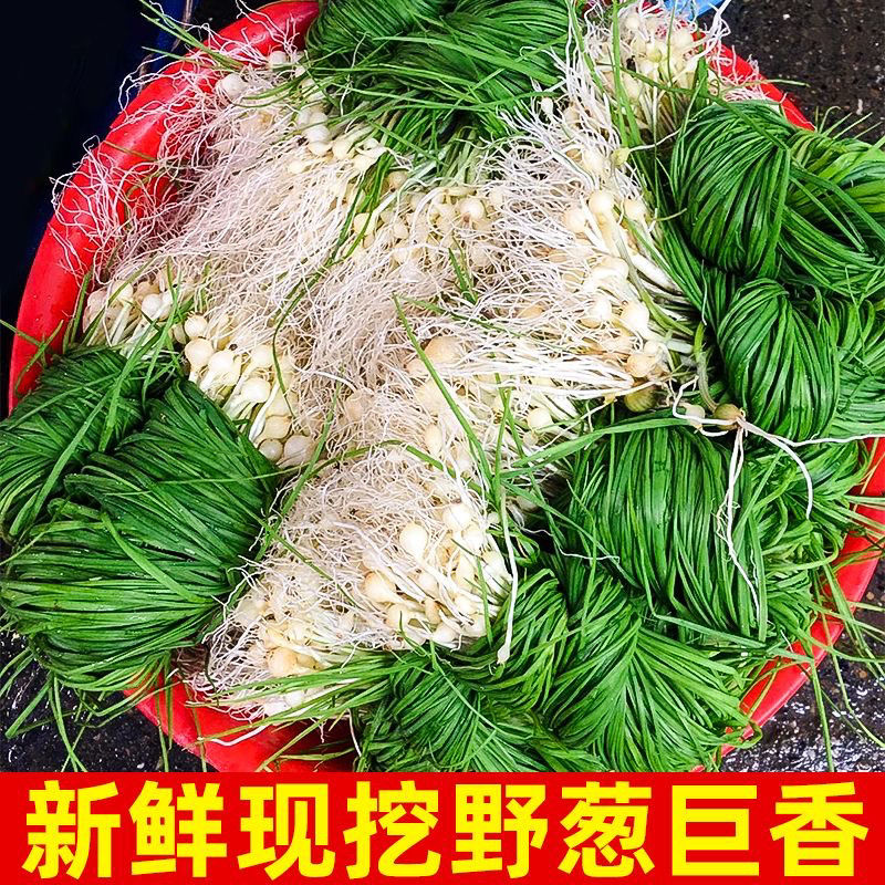 ҰСͷޯɳк