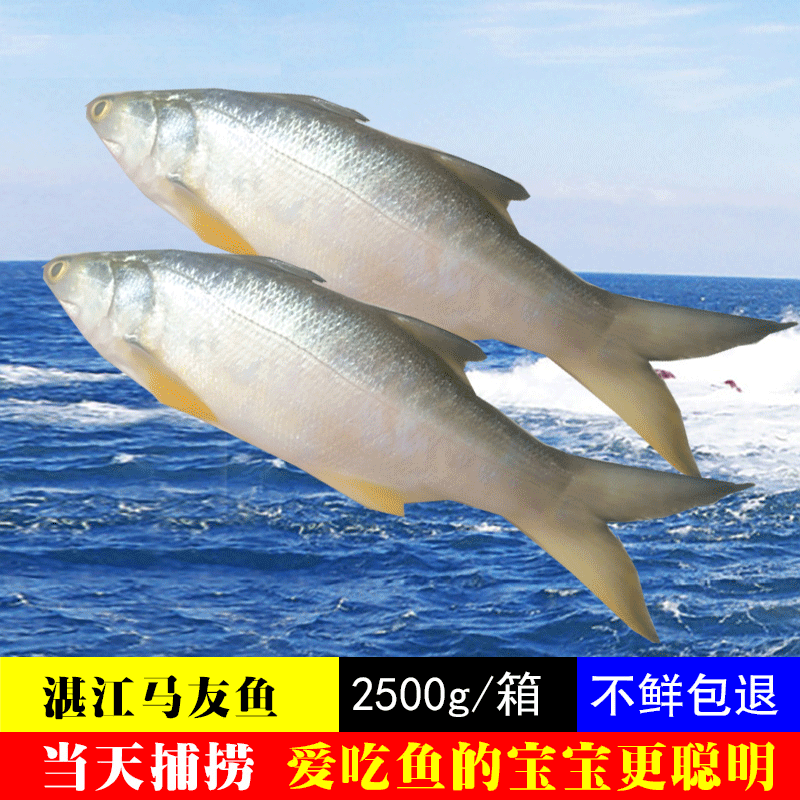 㶫տز250g-500gƵ