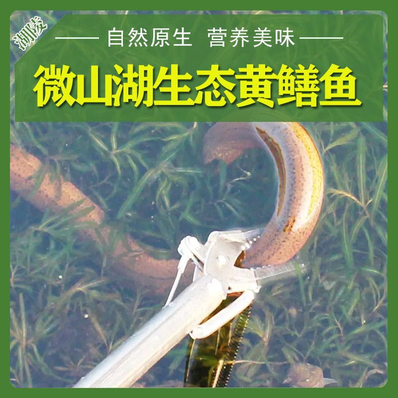 Ұ㡿ʻ˿Ұ1
