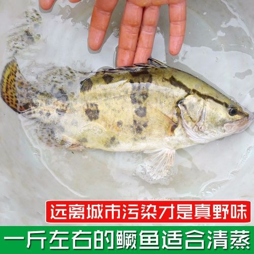ˮ㼾ʻɱҰ