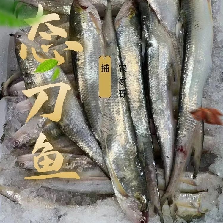 زë㵭ˮԭ̬ʷβʷ