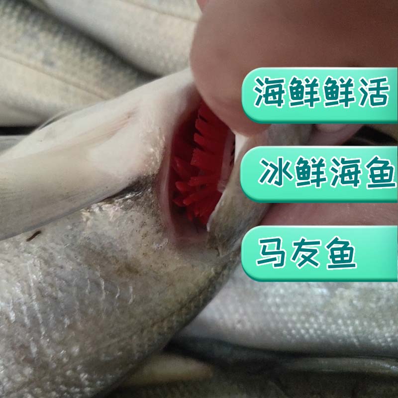 㶫տز250g-500gƵ