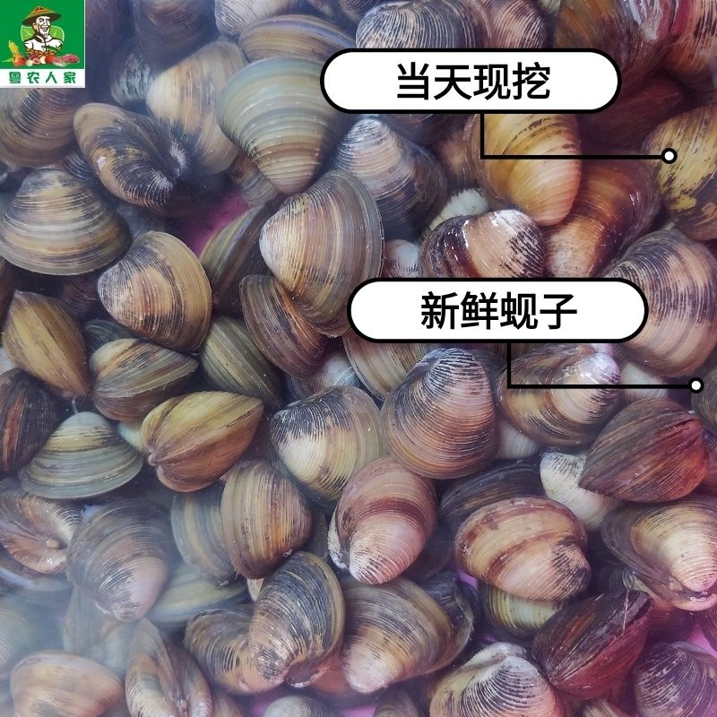 زϪƻʻ۷ǻױˮ