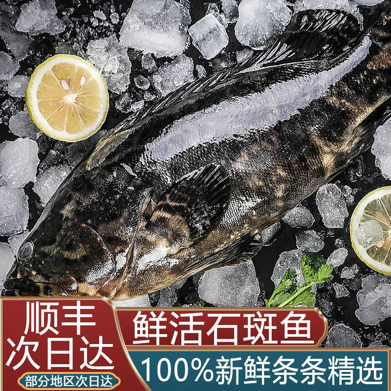 ˮҰʯʻ䶳ϻ