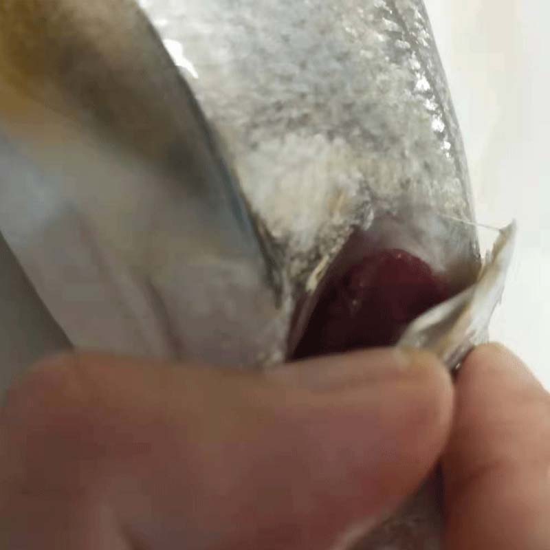 㶫տز250g-500gƵ