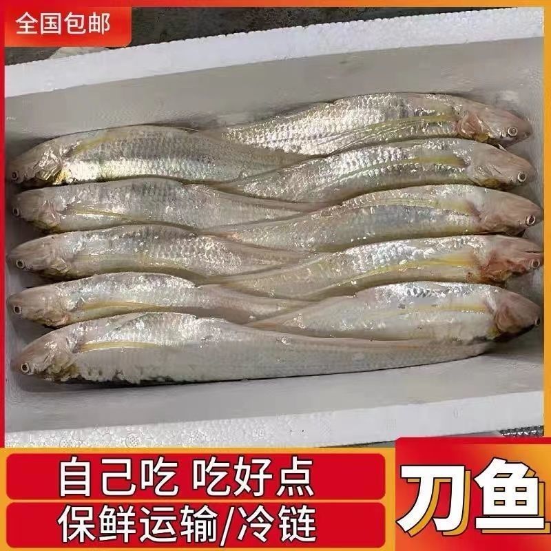 زë㵭ˮԭ̬ʷβʷ