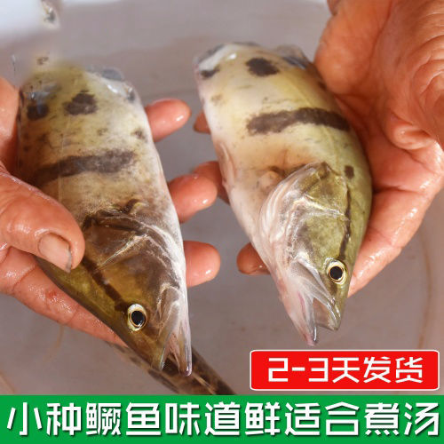 ˮ㼾ʻɱҰ