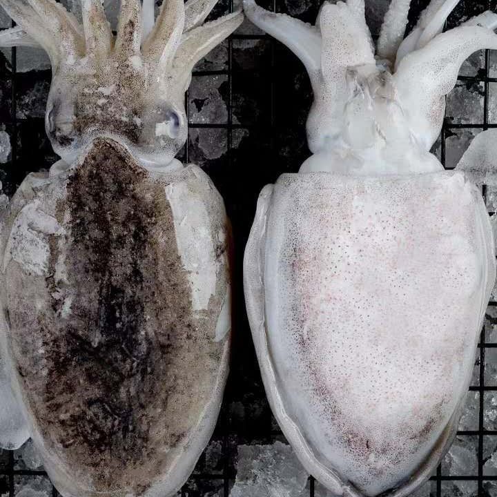 ˳īʻٶĿҰīīк