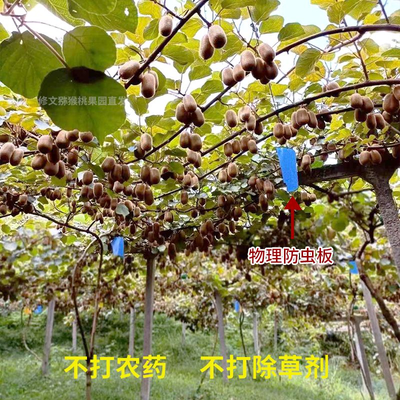 ڹ⨺Ӧˮ԰ֱһˮ