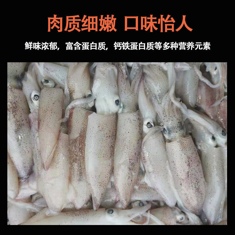 Сʻ䶳СʹܵƹСúˮ