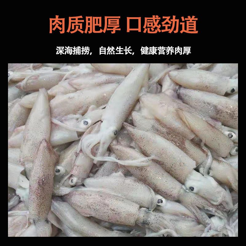Сʻ䶳СʹܵƹСúˮ