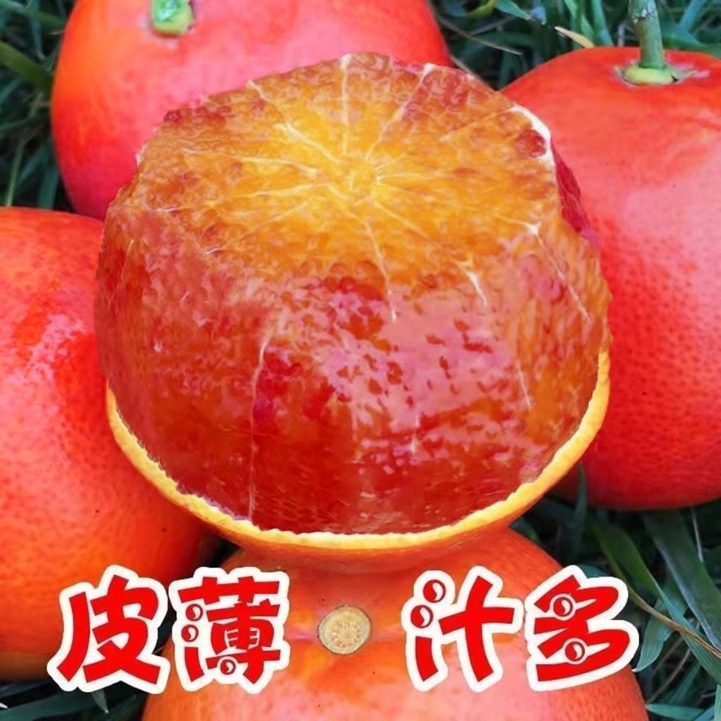 ѪȡѪʹ޿ƱƤȵиְˮ