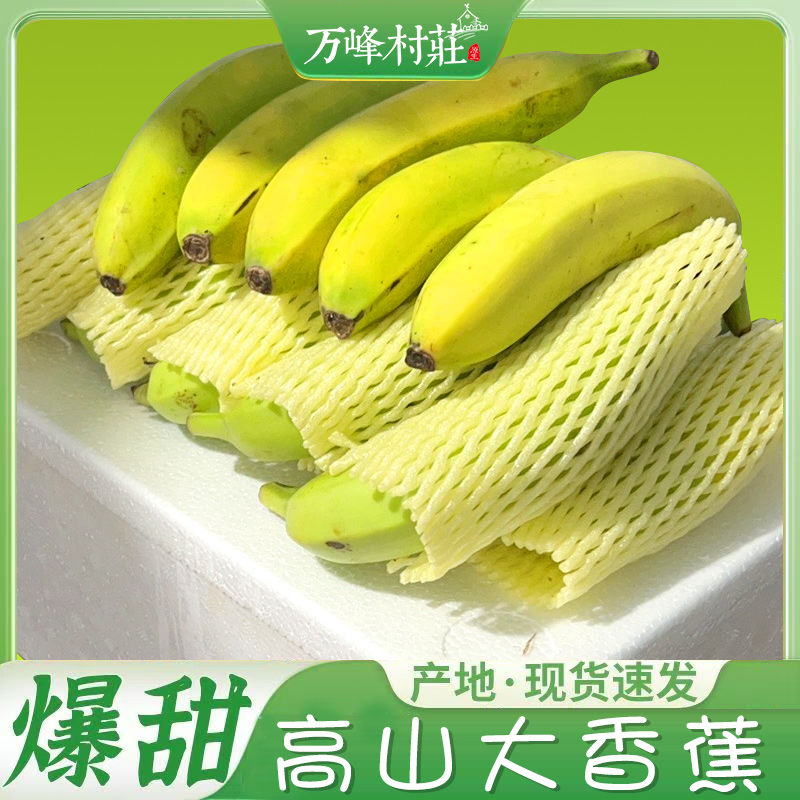 Ȼ㽶ɽ㽶ƤྲྀȻи