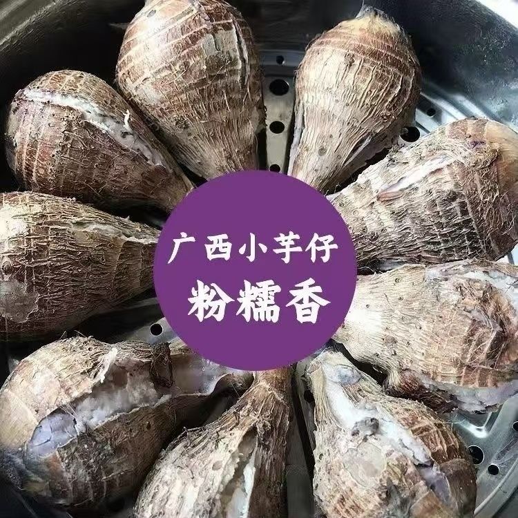 ڵСͷʷŴŴëС