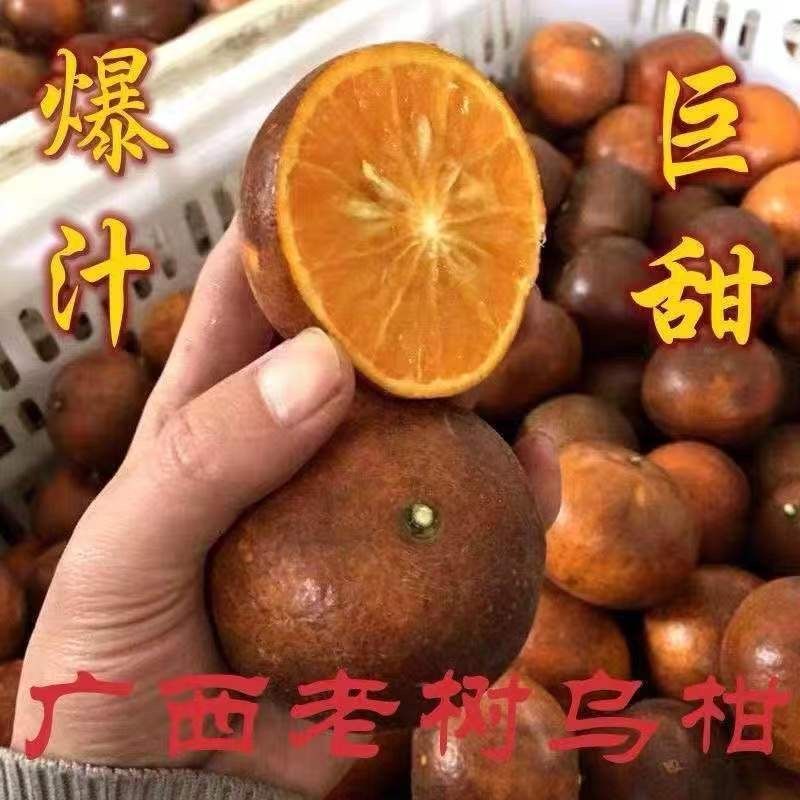 ڹڸָиˮ޳ӱƤ10
