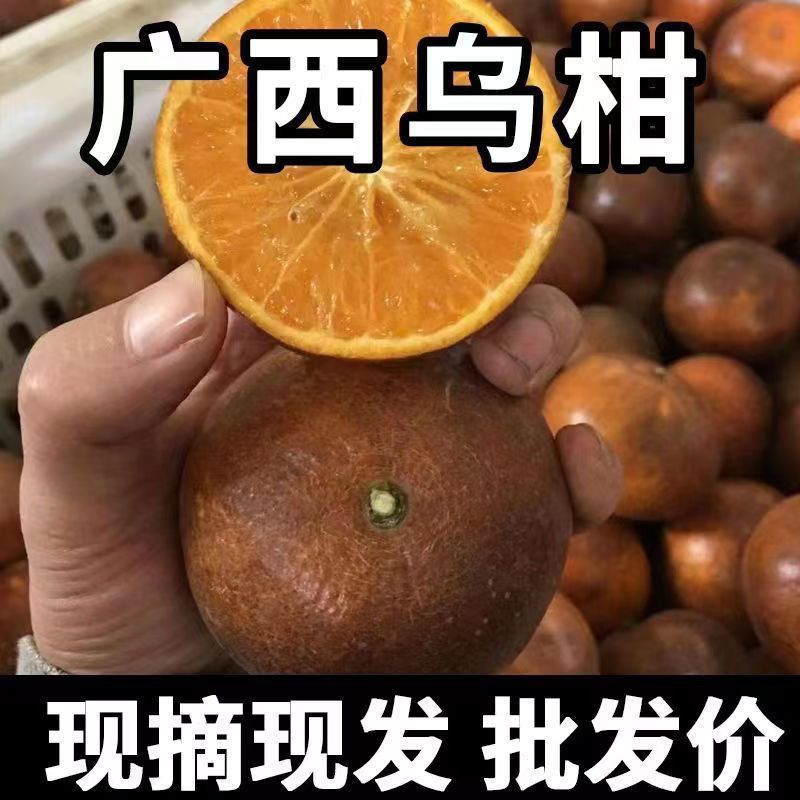 ڹڸָиˮ޳ӱƤ10