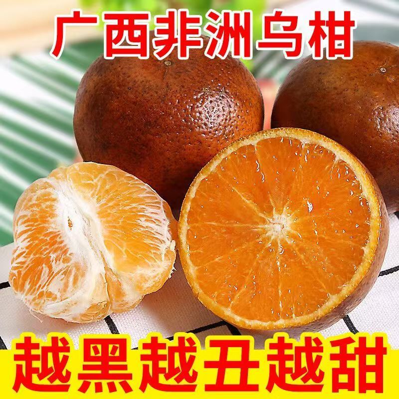 ڹڸָиˮ޳ӱƤ10