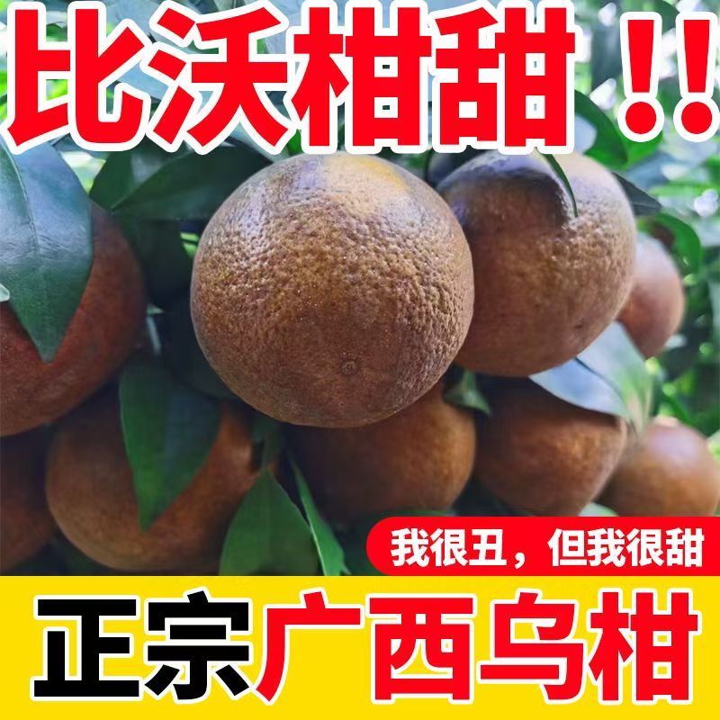ڹڸָиˮ޳ӱƤ10