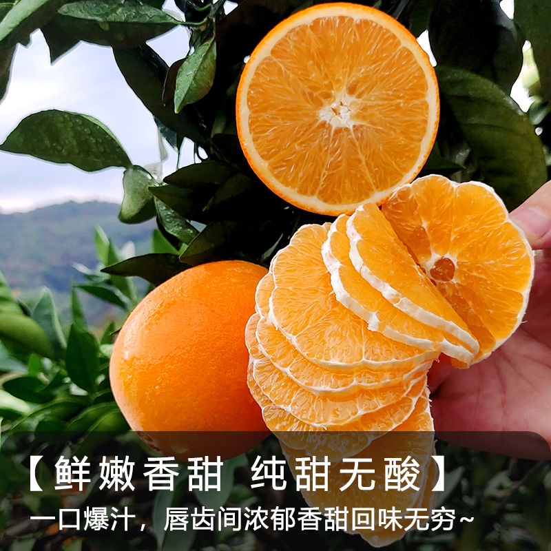 Ʒ䡿ӵˮȲط