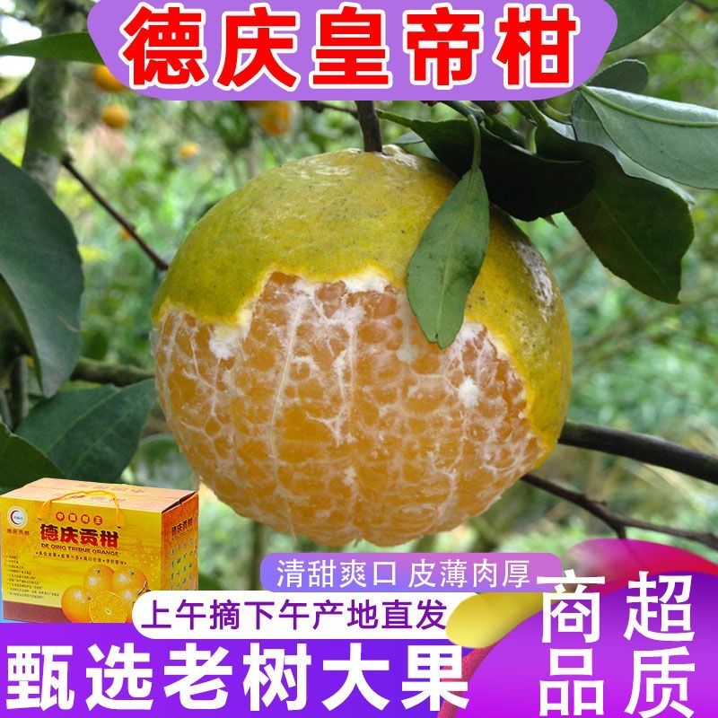 ڵ칱װʵ۸59һйˮժַ