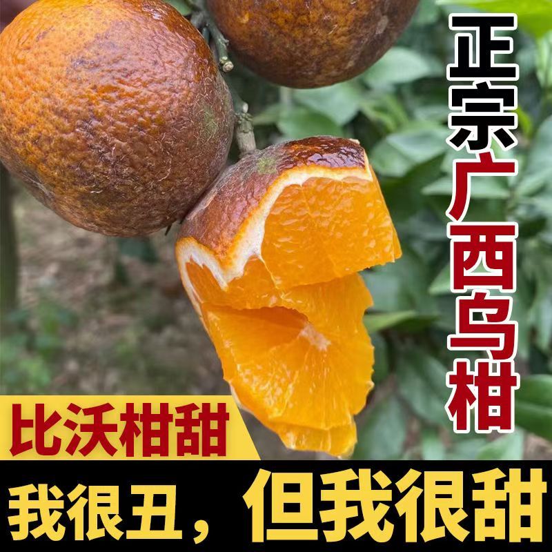 ڹڸָиˮ޳ӱƤ10