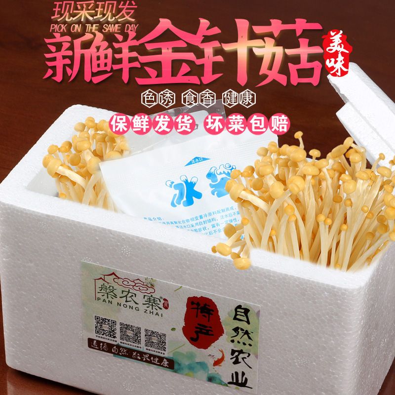ժɫ빽ʻڽɫʳþտĢ