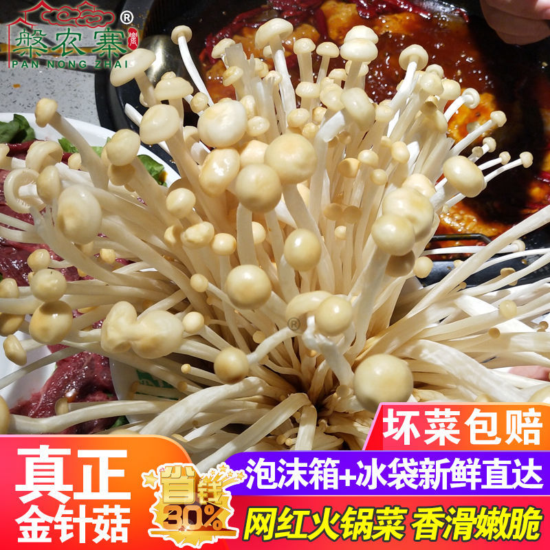 ժɫ빽ʻڽɫʳþտĢ